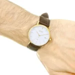 Boss Strato - Image 8