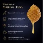 Manuka Health UMF 10+/MGO 263+ Manuka Honey (500g/17.6oz) - Image 4