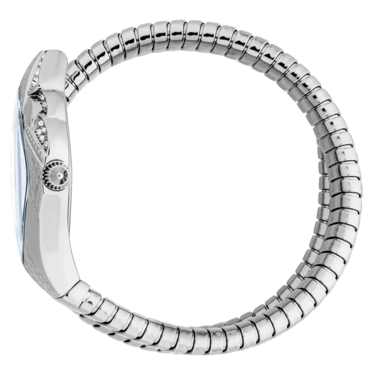 Cavalli Silvenza - Image 3