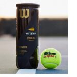Wilson US Open Extra Duty Tennis Ball – 3 Ball Can - Image 2