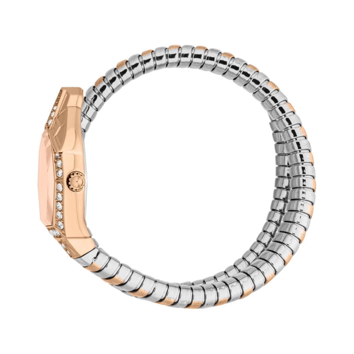 Cavalli Solis - Image 2