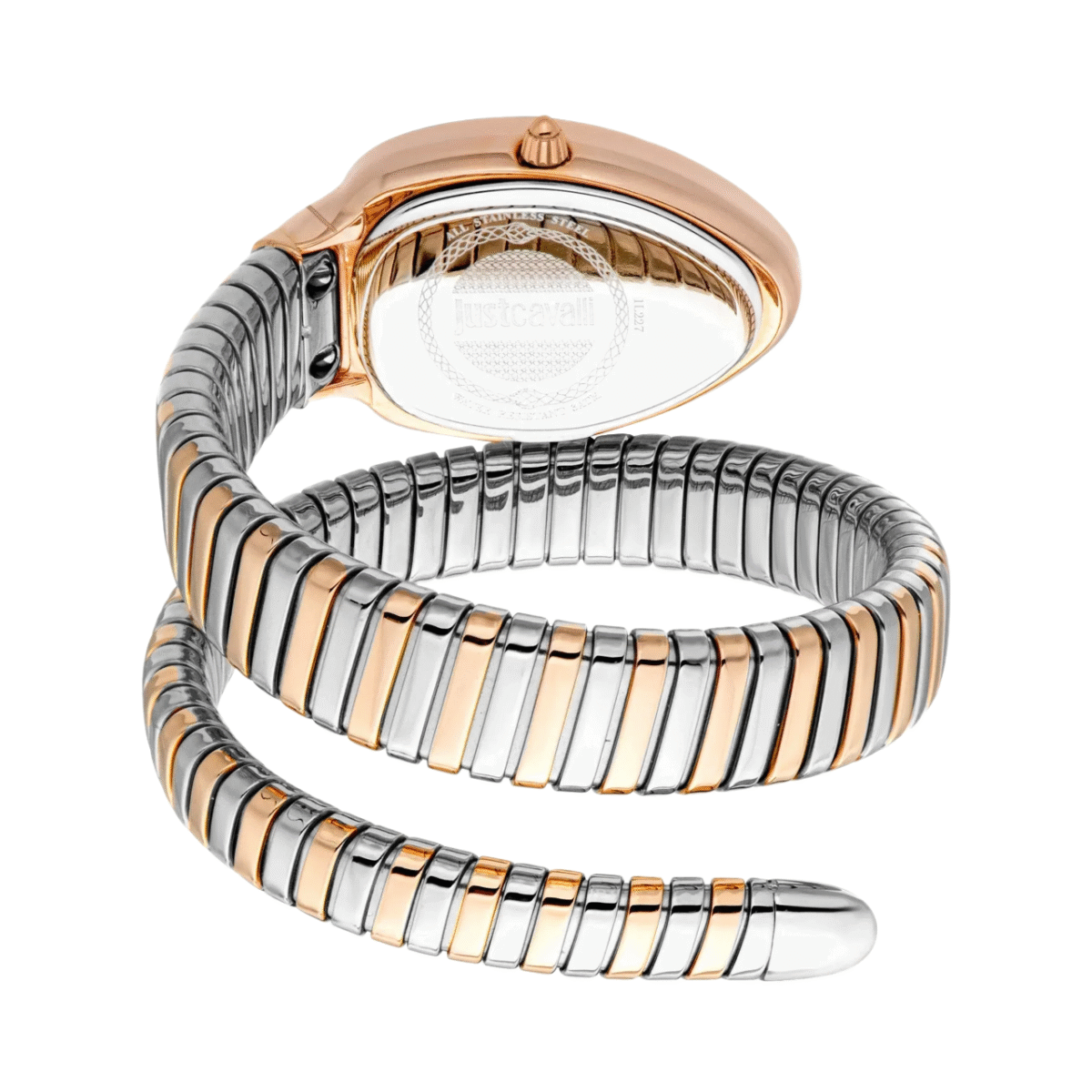 Cavalli Solis - Image 3