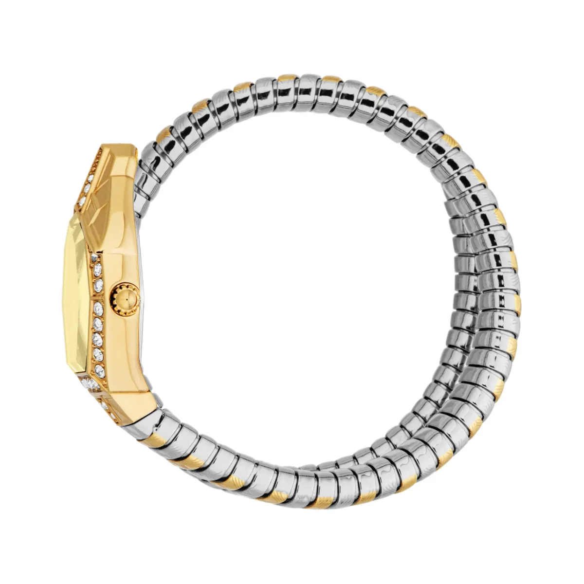 Just Cavalli JC1L303M0055 – Two-Tone Women's Watch with Champagne Dial - Image 3