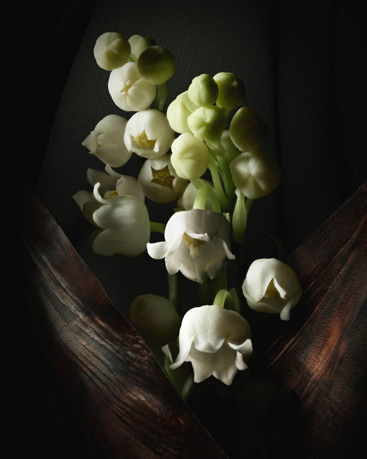 Dior – Lucky Esprit de Parfum (Unisex, 125ml) - Image 4