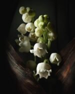 Dior – Lucky Esprit de Parfum (Unisex, 125ml) - Image 4